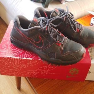 Nike Trainer Low 1.2 special edition